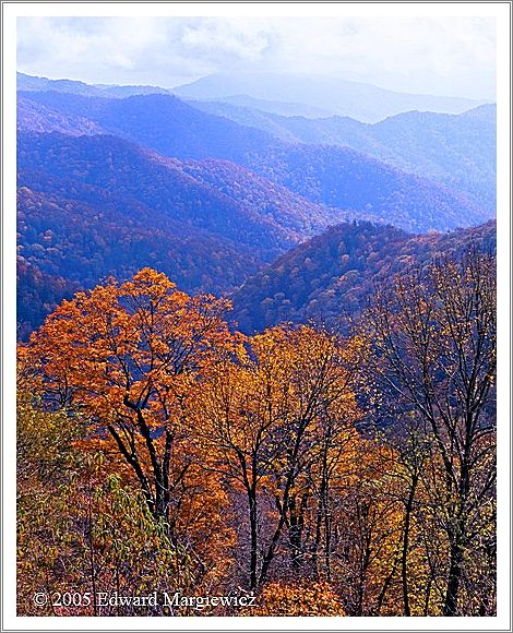 450412   Fall colors in the Smokies 